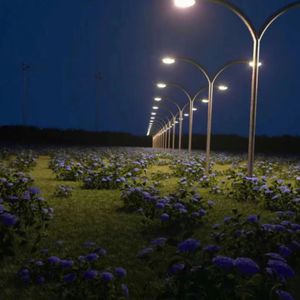 别告诉妈妈免费观看电视剧下载
